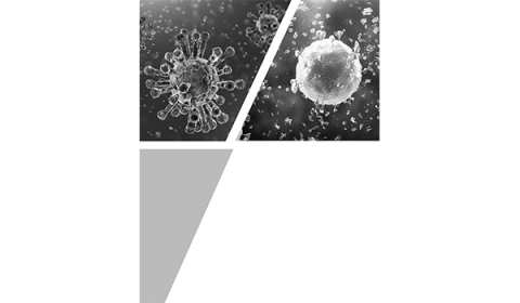 image-203-1583773276