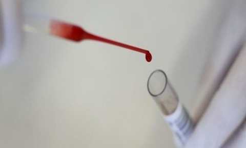 image-1743-1621086611