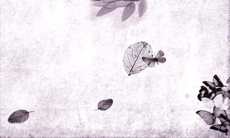 image-2157-1624361150