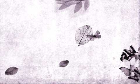 image-2157-1624361150