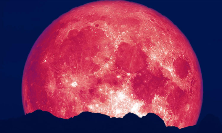 image-2181-1624528824