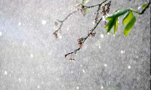 image-2479-1627057227