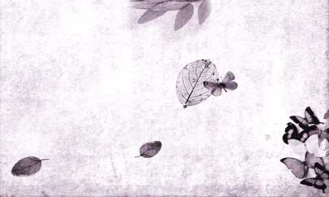 image-3132-1630917025