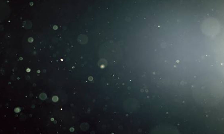 image-3304-1632043126