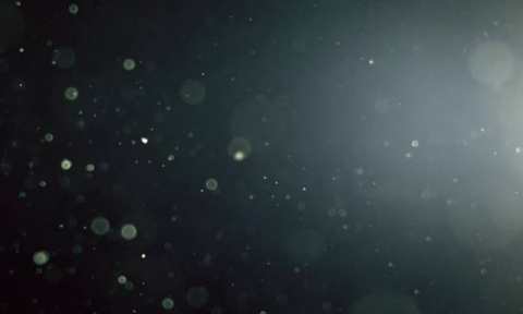 image-3304-1632043126