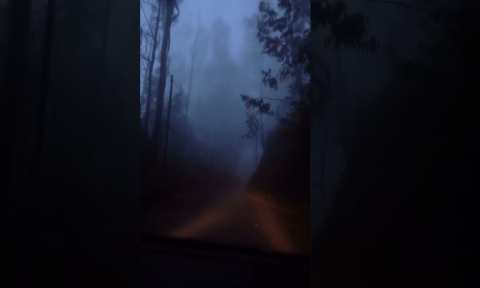 image-3572-1634033749