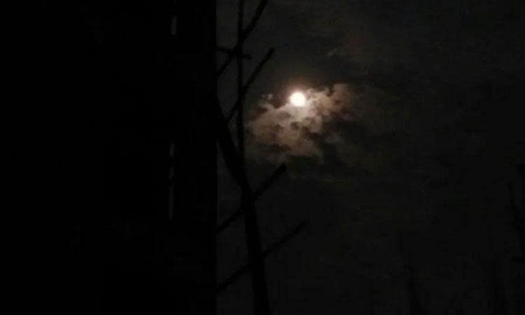 image-4142-1638263655