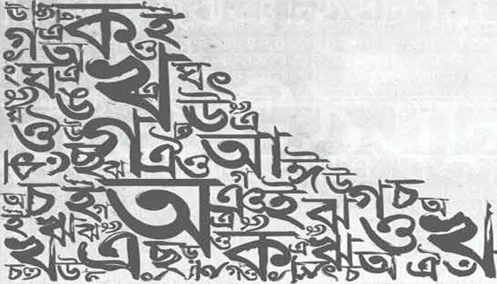 image-4524-1642235300