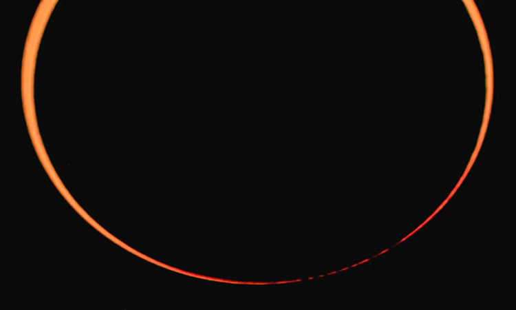 image-5101-1649657625