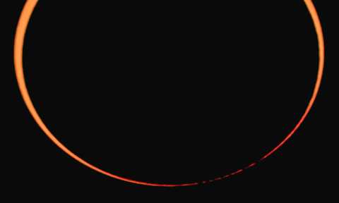 image-5101-1649657625
