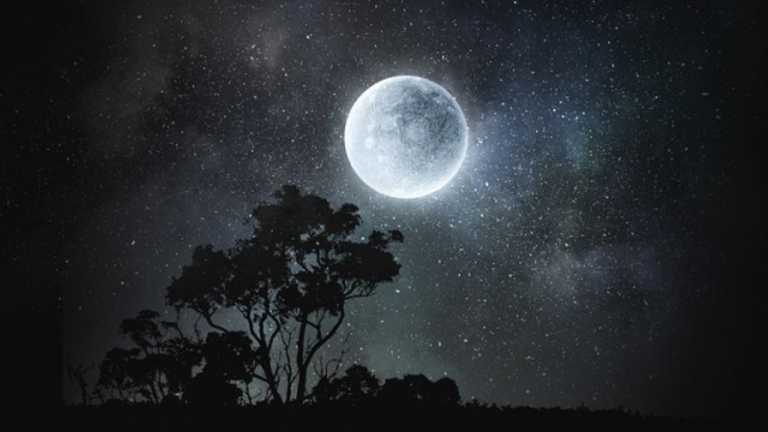 জ্যোৎস্না রাতের ছবি