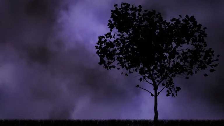 বৃক্ষমানব