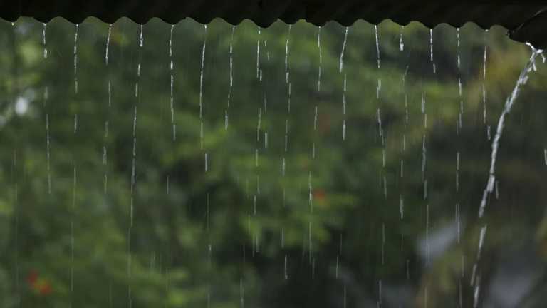বর্ষার জ্বালা