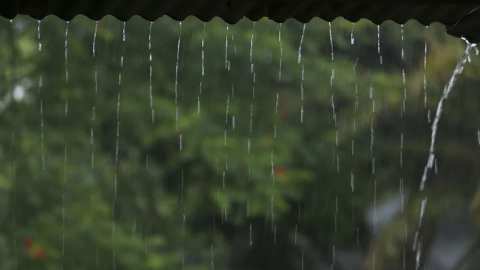 বর্ষার জ্বালা