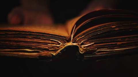 অসমাপ্ত ধূসর পাণ্ডুলিপি
