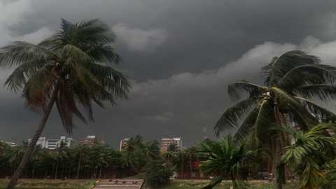 হাওয়ার শাড়ি
