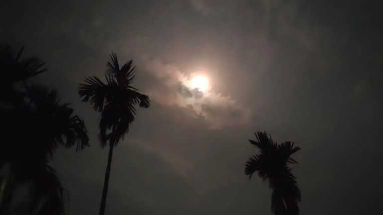 এভাবেই দিন-রাত্রি