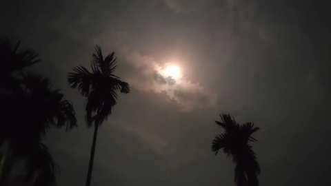 এভাবেই দিন-রাত্রি