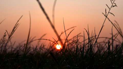 হিমুকে ভালোবাসা