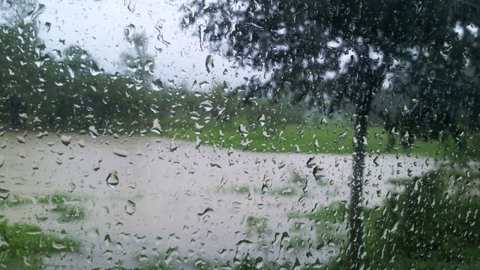 তোমার শহরে বৃষ্টি নামুক