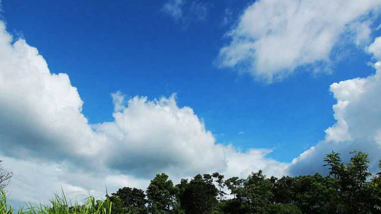শরৎ এসেছে ফিরে