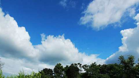 শরৎ এসেছে ফিরে