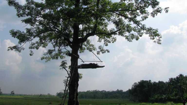 ছুটি