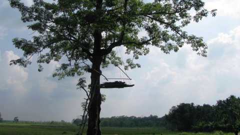 ছুটি