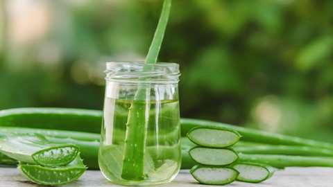 অ্যালোভেরায় ত্বকের যত্ন