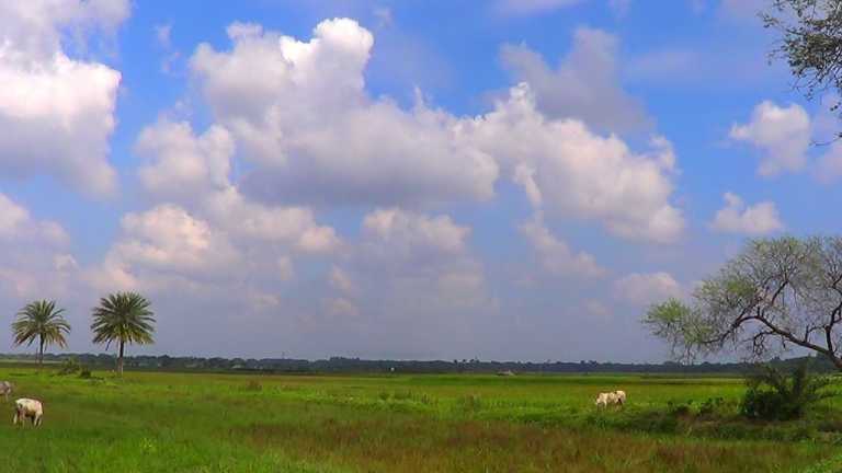 শরতের বিকেল