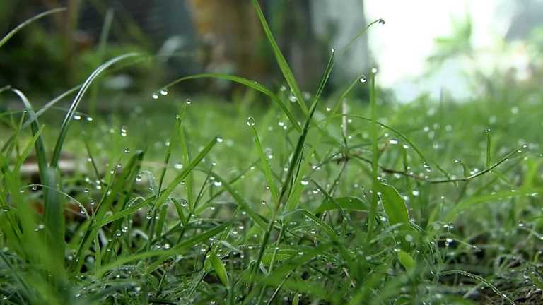 হেমন্তী