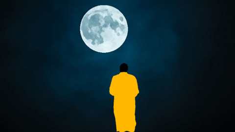 হিমুর চোখে