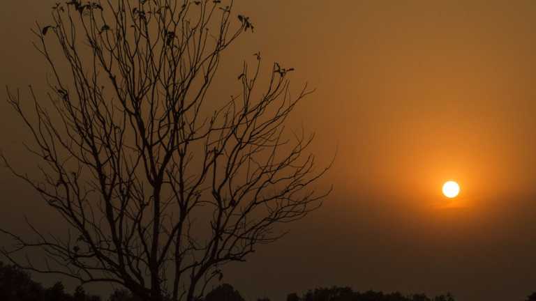 শেষ বিকেলের আলো