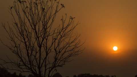 প্রভাতবরণ