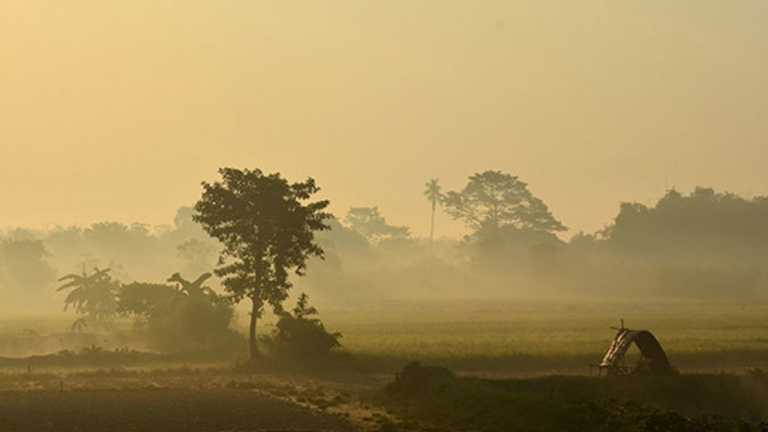 শীত এসেছে ধরায়