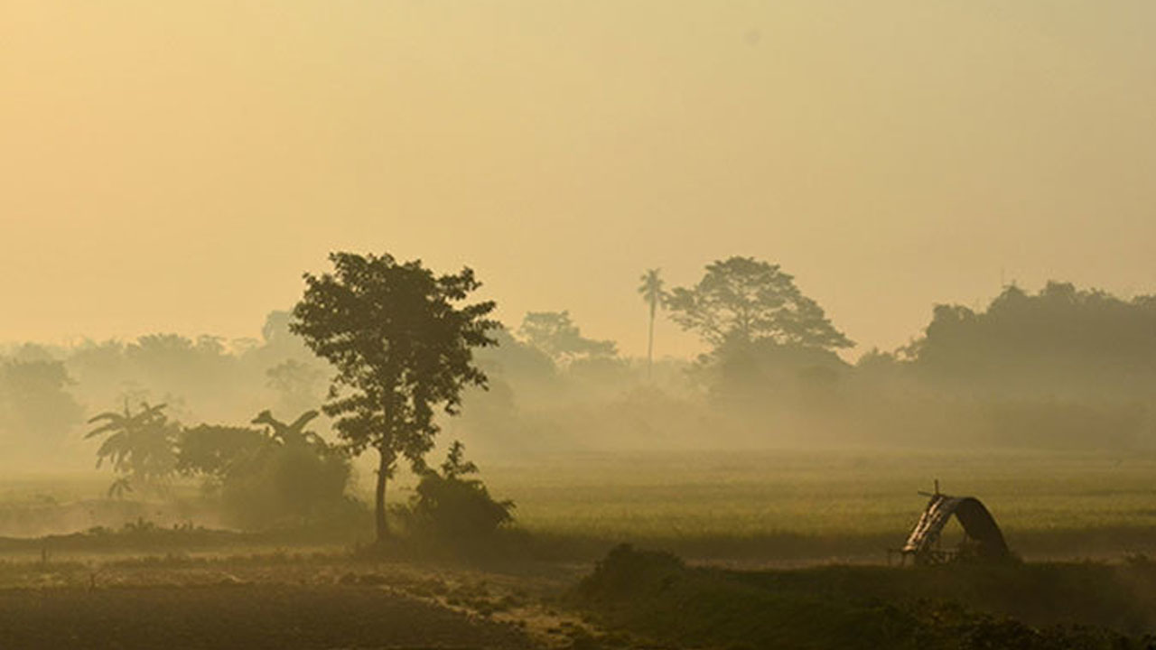 শীত এসেছে ধরায়
