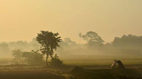 শীত এসেছে ধরায়