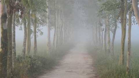 শীতের কুয়াশায়