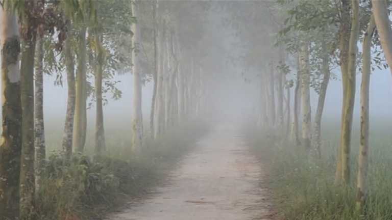 শীতের কুয়াশায়