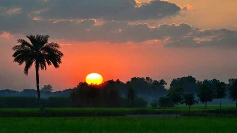 সুর্যি মামার প্রেমে