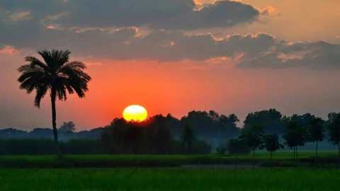 একটু সুখের সন্ধানে