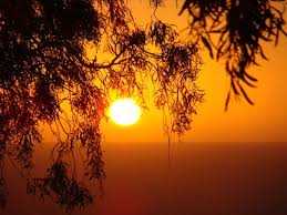 images (20)
