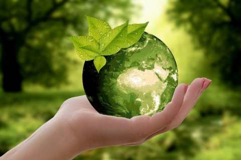 image_750x500_6140cc1c031d2