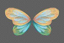 images28