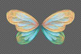 images28