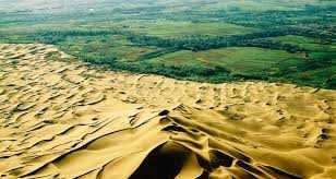 images98