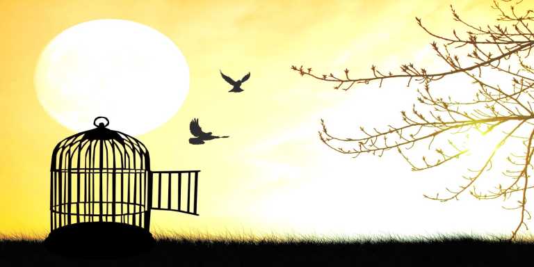 pleasure-of-freedom