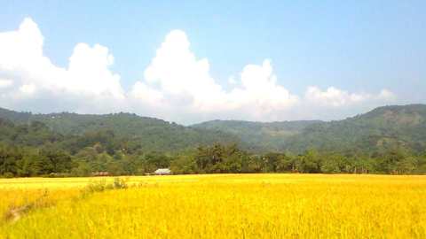 কবিতা