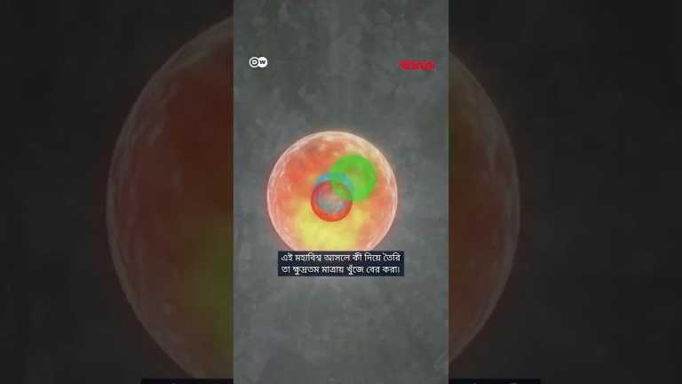 অন্তর্জালে ঘুরে বেড়ানোর জন্য সার্ন কোলাইডারকে ধন্যবাদ দিতে পারেন | Anannya | DW