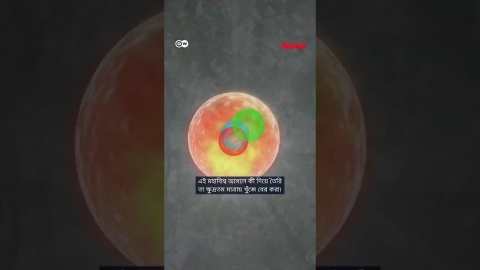 অন্তর্জালে ঘুরে বেড়ানোর জন্য সার্ন কোলাইডারকে ধন্যবাদ দিতে পারেন | Anannya | DW